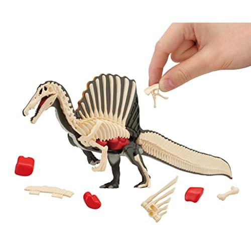 ｽﾋﾟﾉｻｳﾙｽ復元ﾊﾟｽﾞﾙ