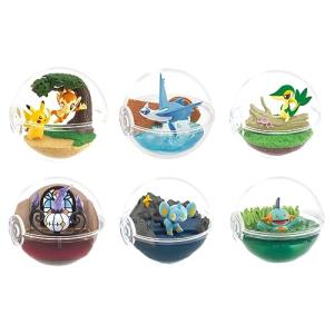 リーメント ポケットモンスター テラリウムコレクション 12 BOX商品 全