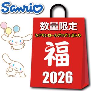 sanrio（サンリオ） グッズ 2026 福袋 10点入り 9800円 お買得
