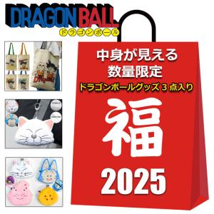 ドラゴンボール グッズ 2025 福袋 中身が見える 3点入り 5555円 メンズ レディース キッズ トートバッグ パスケース コインケース｜3branch