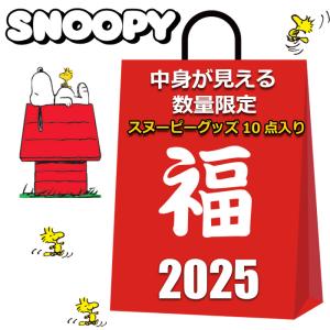 スヌーピー グッズ 2025 福袋 レディース 中身が見える 10点入り 10000円 クッション リュック 保冷バッグ SNOOPY｜3branch