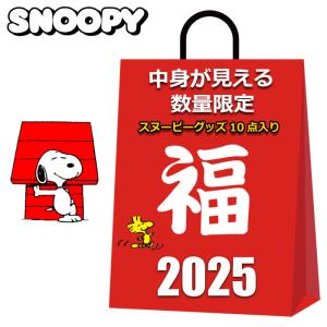 スヌーピー グッズ 2025 福袋 レディース 中身が見える 10点入り 10000円 クッション バッグ 雑貨 SNOOPY｜3branch