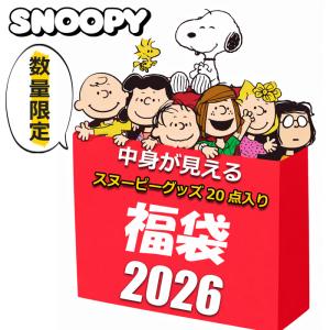 SNOOPY（スヌーピー） グッズ 2026 福袋 中身が見える 4点入り 2500円