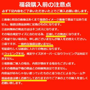 スヌーピー グッズ 2026 福袋 レディース...の詳細画像5