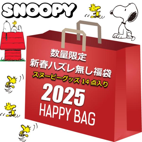 スヌーピー 福袋 2025 グッズ 14点 10000円 レディース キッズ 雑貨 SNOOPY ハ...