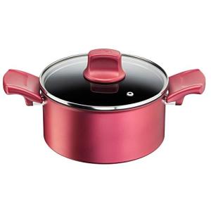 ティファール 両手鍋 20cm IH ガス火対応 PFOAなどの有害物質不使用 こびりつきにくさ長持ち 「IHルージュ・アンリミテッド シチュー