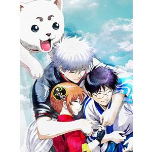 銀魂 THE FINAL (完全生産限定版) Blu-rayの商品画像