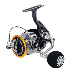 ダイワ(DAIWA) スピニングリール 18 ブラスト LT6000D-H(2018モデル)