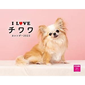 カレンダー 2023 I LOVE チワワカレンダー 2023(月めくり・壁掛け)(ネコ・パブリッシング) ( カレンダー )｜3c-online