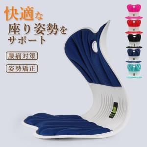 ポイント消化 骨盤 姿勢矯正クッション 骨盤座 ...の商品画像