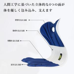 ポイント消化 骨盤 姿勢矯正クッション 骨盤座...の詳細画像2