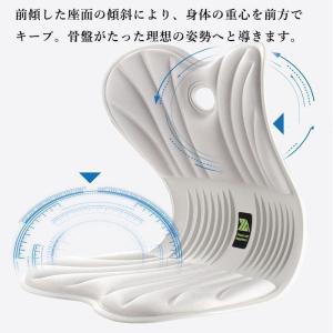 ポイント消化 骨盤 姿勢矯正クッション 骨盤座...の詳細画像3