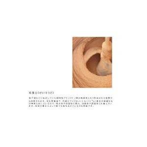 【soil/ソイル】MASU ライスカップの詳細画像2