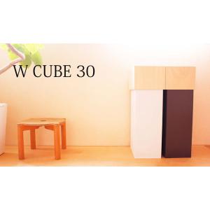 袋の見えないカバー付ダストボックス 30リットル ダストボックス ゴミ箱【ヤマト工芸/yamato japan】W CUBE 30　ダブルキューブ30YK15-011｜3chome-market