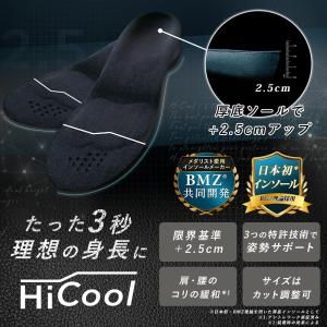 ハイクールインソール HiCool INSOL...の詳細画像1