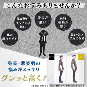 ハイクールインソール HiCool INSOL...の詳細画像3