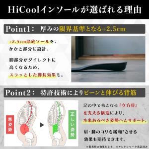 ハイクールインソール HiCool INSOL...の詳細画像4