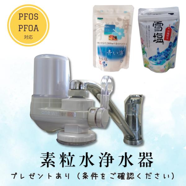 【フリーサイエンス正規代理店】　素粒水　浄水器　ワンウォーターECO　沖縄県産塩と沖縄限定デザイン雪...