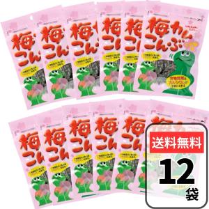 梅カムこんぶ 10g ×12袋 しそ梅味 おしゃぶり昆布 上田昆布