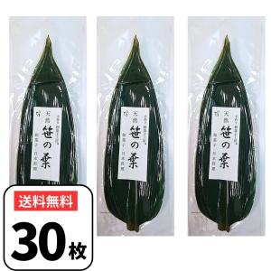 笹の葉 100枚入り スゲ付き（笹の葉×100枚・スゲ100g×1束）/丸大大滝