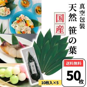 緑南天 タテ （縦詰め） 10枚入り 飾り葉 : 生鮮卸売市場 - 通販