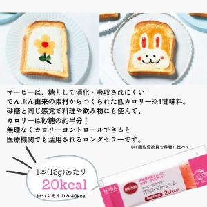 マービー ジャム 低カロリー 砂糖不使用 フル...の詳細画像2