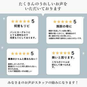 マービー ジャム 低カロリー 砂糖不使用 フル...の詳細画像3