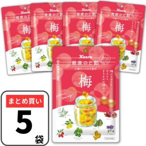 Kabaya すいかグミ 50g×10袋セット スイカグミ カバヤ : 3n store