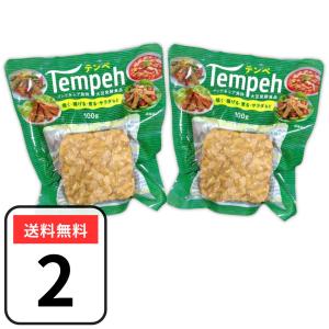 テンペ ヤマク 100g×2袋 大豆発酵食品 スパウトパック てんぺ｜3n-shop