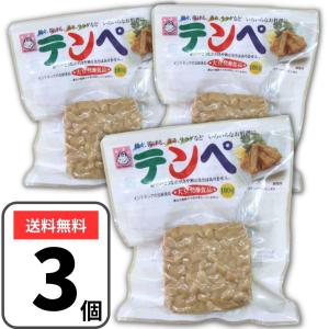 テンペ ヤマク 100g×3袋 大豆発酵食品 スパウトパック てんぺ｜3n-shop