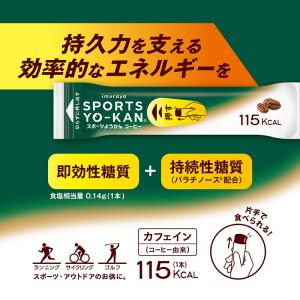 スポーツようかん 井村屋 10本 (あずき 4...の詳細画像1