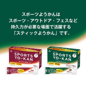スポーツようかん 井村屋 10本 (あずき 4...の詳細画像5