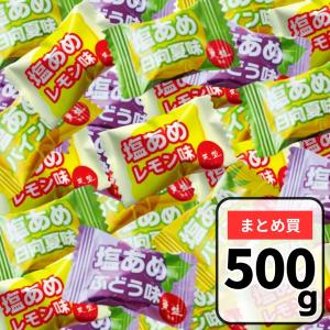天塩の塩あめ 4種ミックス 約500g(125粒...の商品画像