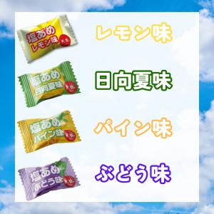 天塩の塩あめ 4種ミックス 約500g(125...の詳細画像1