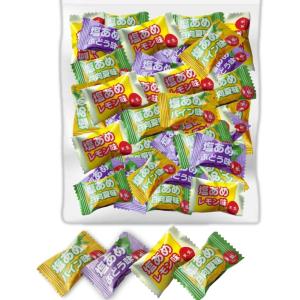 天塩の塩あめ 4種ミックス 約500g(125...の詳細画像2