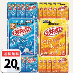 サクマ式ドロップス  復刻版　十個セット サクマ式ドロップス 復刻版 十個セット