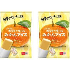 おうちで凍らせて食べる アイス みかん アイス 2袋（8本入）国産果汁 ミカン みかんアイス シャーベット 常温 谷尾食糧