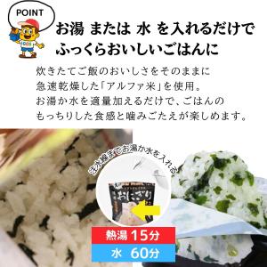携帯おにぎり 非常食 保存食 尾西食品 4種 ...の詳細画像2