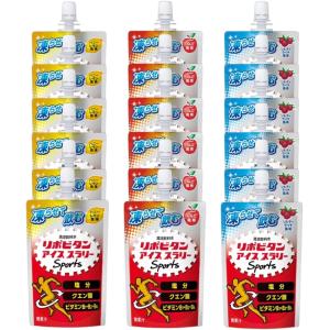 【熱中症対策に】リポビタン アイススラリー Sports 120g 18個（ハニーレモン風味、ソルティライチ風味、りんご風味）3種 各6個 クエン酸・ビタミンB群配合