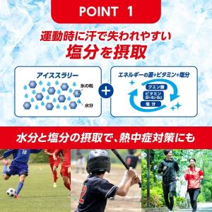 【熱中症対策に】リポビタン アイススラリー S...の詳細画像5