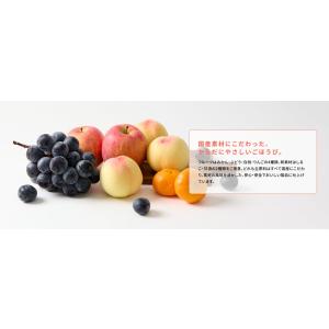 ポイント消化 お菓子 送料無料 おうちで凍らせ...の詳細画像2