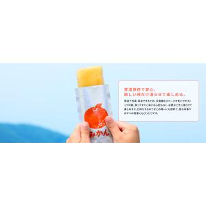 ポイント消化 お菓子 送料無料 500円 おう...の詳細画像3