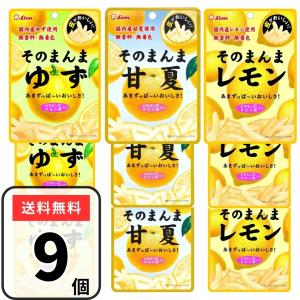 やおきん サワーサイダーグミ （ 60個入） グミ キャンディ