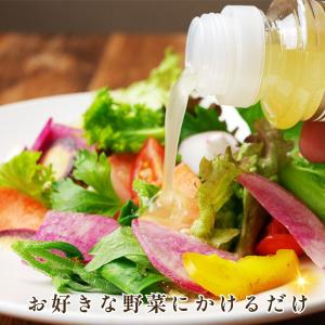 花様ドレッシング 190ml×3本 花様 かよ...の詳細画像3