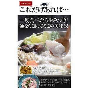 とらふぐ アラ身500g (約3人前) 淡路島...の詳細画像5