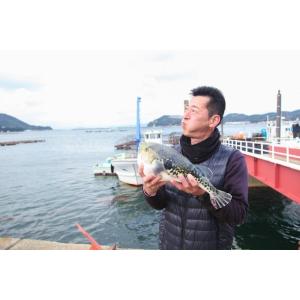 松コース ふぐ鍋 ふぐ刺身 白子 セット(2人...の詳細画像5