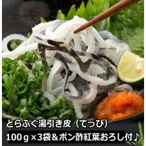3袋セット 】 発酵本家の味噌汁 83.5g 約10食分 和心本舗 インスタント