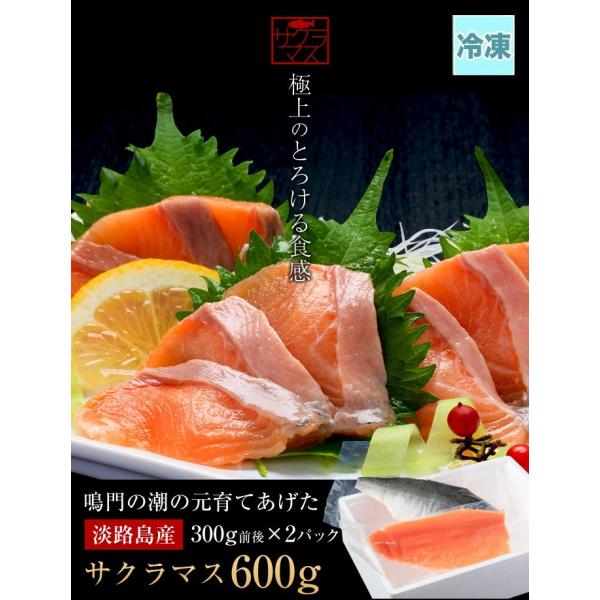極上とろける食感！淡路島で育った【淡路島サクラマス／冷凍】600g（300g前後×2）若男水産