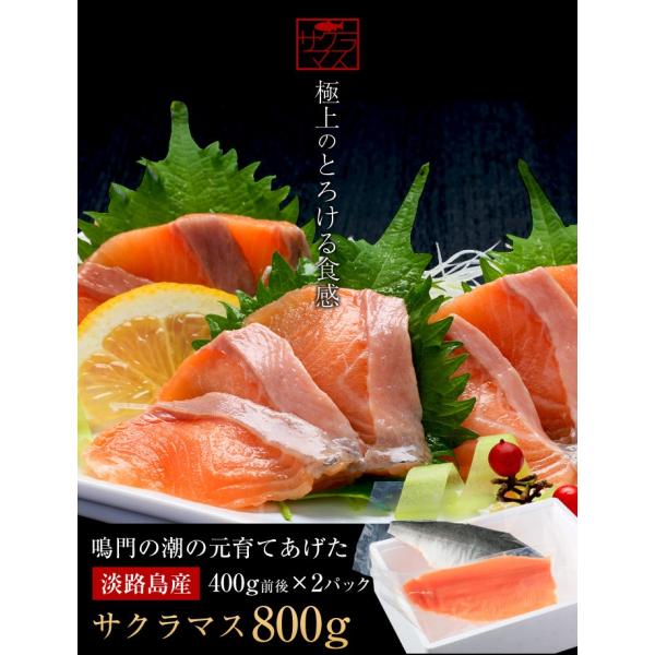 極上とろける食感！淡路島で育った【淡路島サクラマス】800g（400g前後×2）若男水産