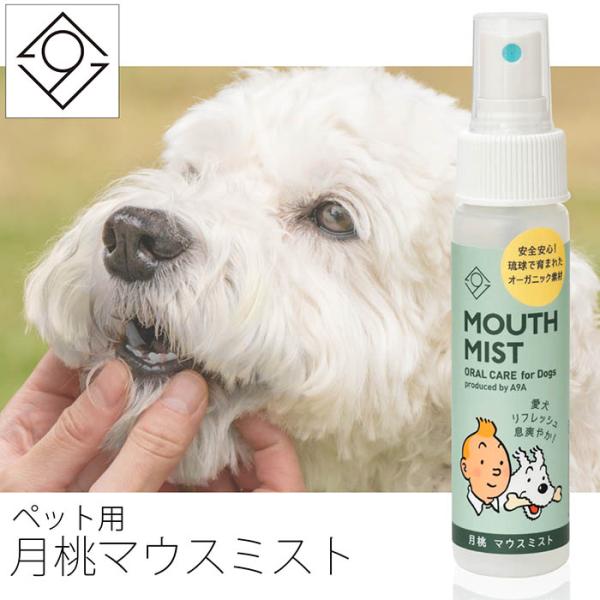 【オーガニックケアブランド A9A】A9A for Dogs 月桃マウスミスト 50ml 愛犬 天然...